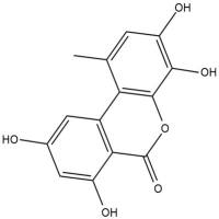 4-hydroxy Alternariol