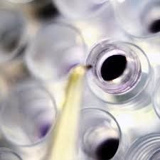 EpiDerm三维重建表皮模型检测盒