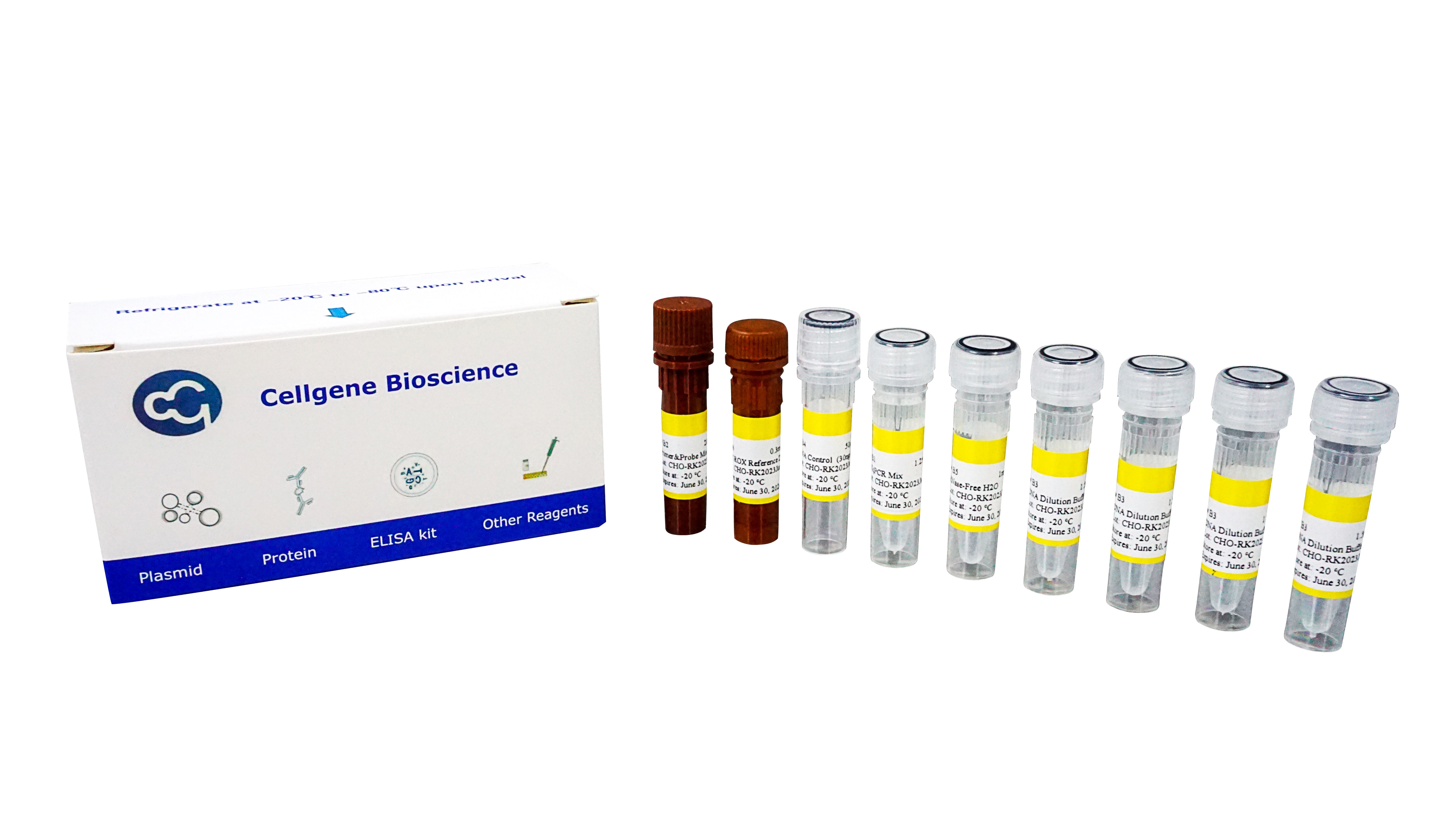 免费试用---宿主细胞DNA残留检测试剂盒