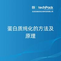 蛋白质纯化的方法及原理