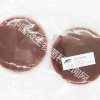 牙龈卟啉单胞菌 