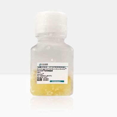 ExoCCM无外泌体血清---细胞上清外泌体专用血清