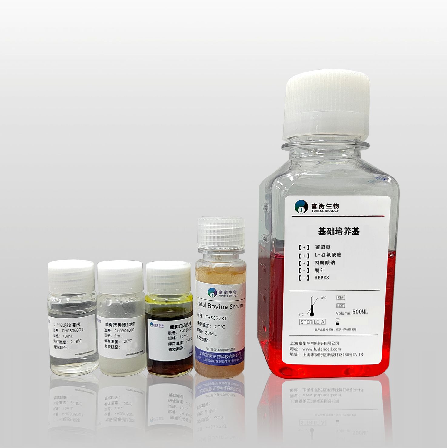 大鼠神经干细胞成星形胶质细胞诱导分化试剂盒