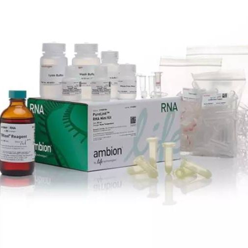 StemPro™ Accutase™ 细胞解离试剂，A1110501100mL价格_品牌Gibco丁香通官网