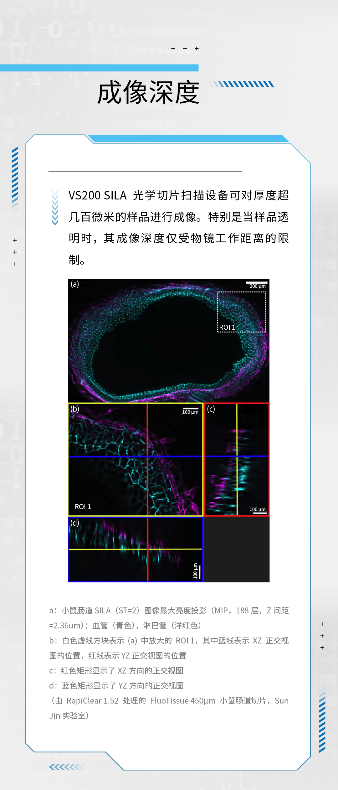 VS200 SILA革新赋能显微成像技术