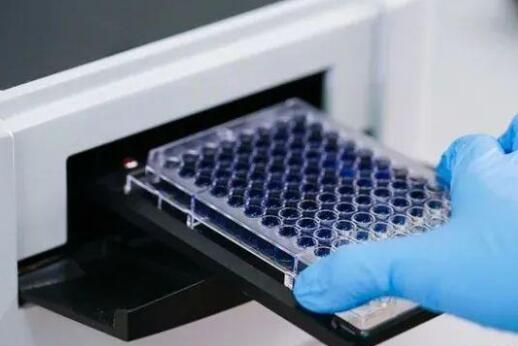 ELISA（酶联免疫吸附试验）空白背景高想象分析