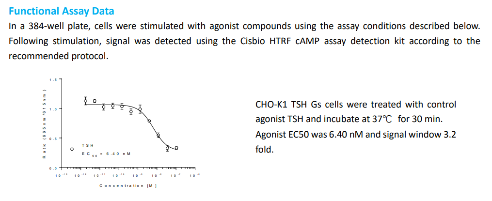 TSHR：甲状腺细胞代谢的关键调节因子