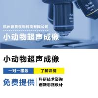 小动物超声成像技术服务#超声成像#心超#内分泌#产科#血流信息