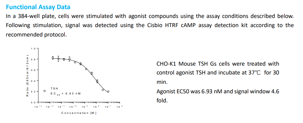 TSHR：甲状腺细胞代谢的关键调节因子