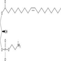 1-Oleoyl-2-hydroxy-sn-glycero-3-PE