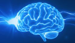 2024年世界阿尔茨海默病日：华美生物助力研究与药物开发