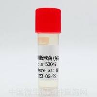 屎肠球菌(屎链球菌)	 