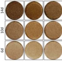 MelanoDerm黑色素皮肤模型检测盒