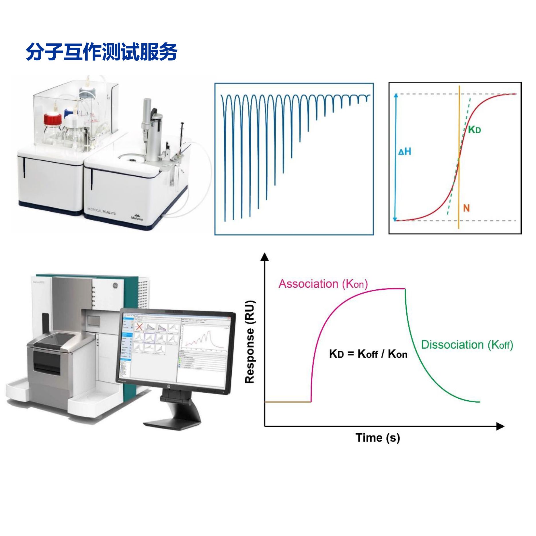 分子互作服务，SPR，ITC，BLI