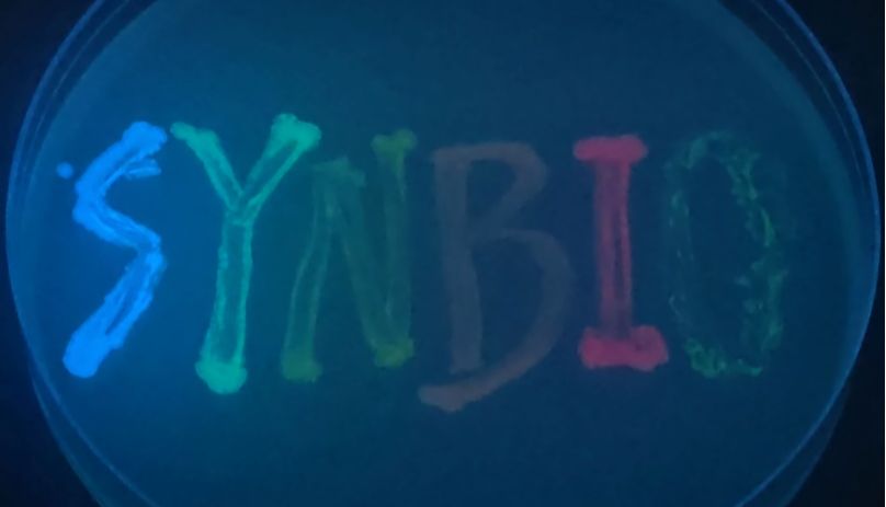 新品推荐 | 荧光改造菌株