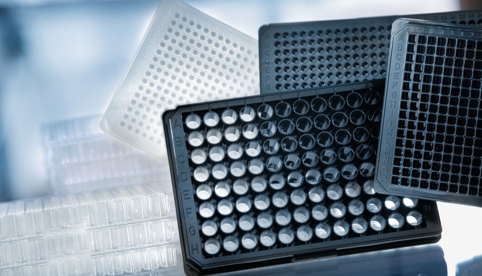 如何为高通量筛选中的细胞模型找到最佳表面