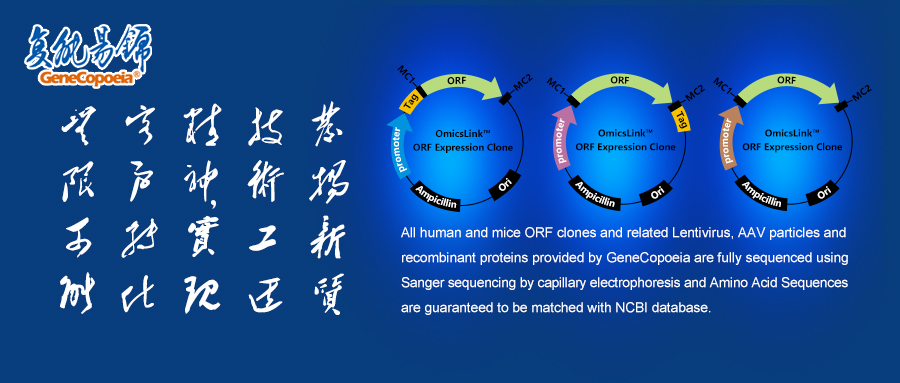 促销集锦 | 涵盖科研常用的高质量超优惠试剂和服务