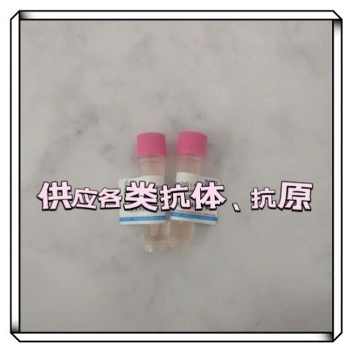 产品封面图