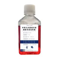 羊睾丸内膜成纤维细胞专用培养基