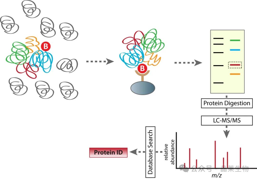 1727167841835998.jpg 640_wx_fmt=jpeg&from=appmsg.jpg