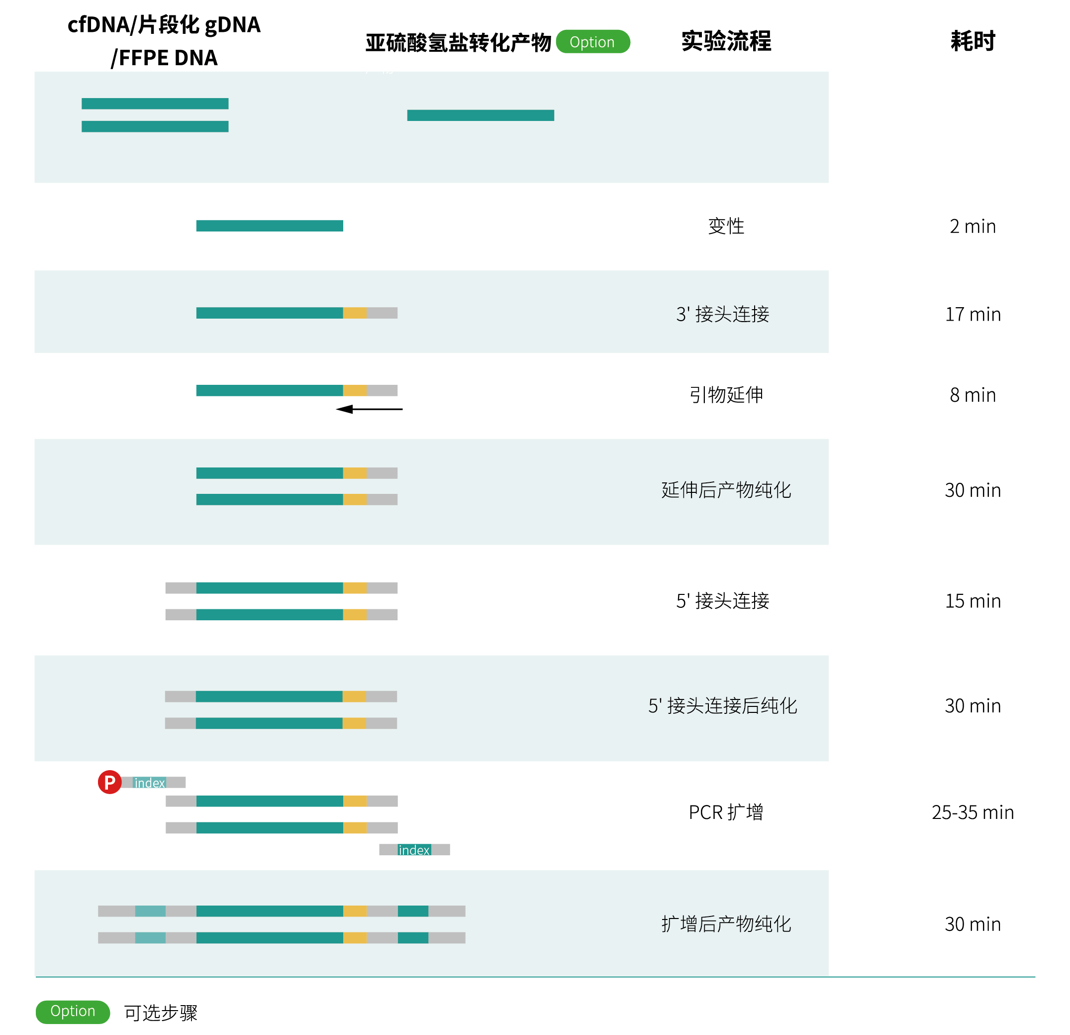 我宣布！这就是拯救低质量和微量样本的神之一手！双平台任你选！