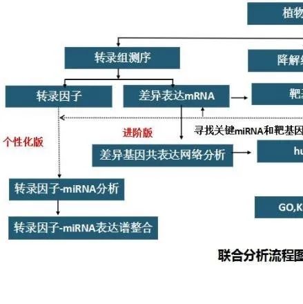 基因组学之外显子组测序