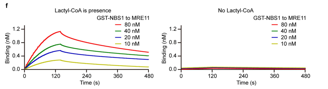 2024国内Octet CNS赏析：蛋白、多肽、小分子全覆盖！