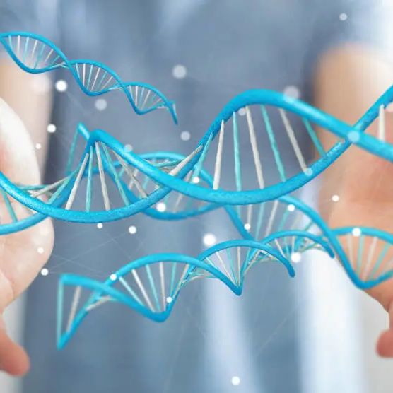 代谢组学服务简介（二）