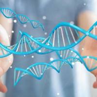 代谢组学服务简介(二)