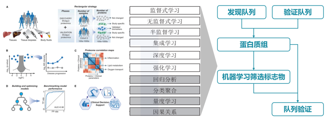 一文详解基于机器学习的蛋白质疾病生物标志物筛选