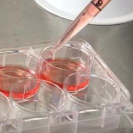 修饰蛋白质组学之糖基化鉴定