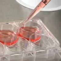 修饰蛋白质组学之糖基化鉴定