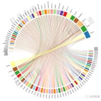 BSP甲基化测序服务简介