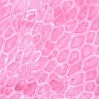 细胞检测常见问题解答