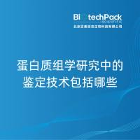 蛋白质组学研究中的鉴定技术包括哪些