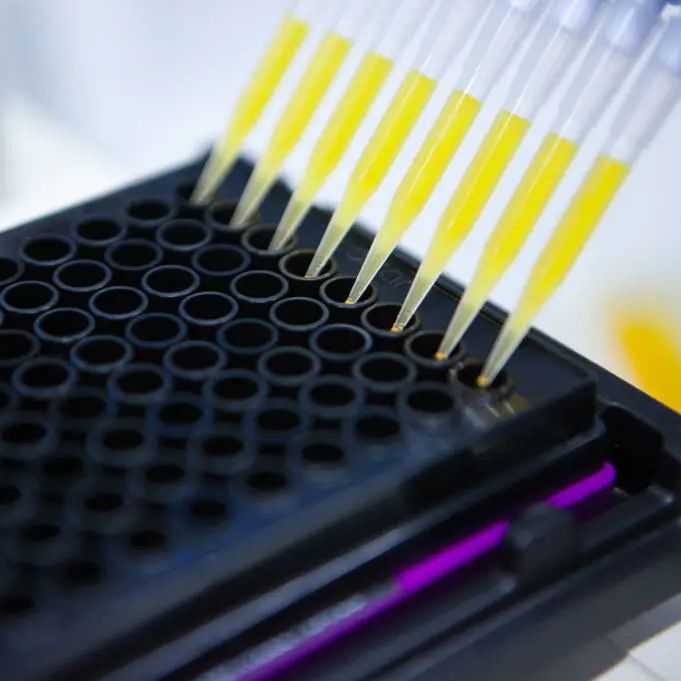 修饰蛋白质组学之巴豆酰化鉴定