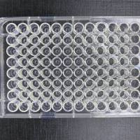 定制 功能化修饰