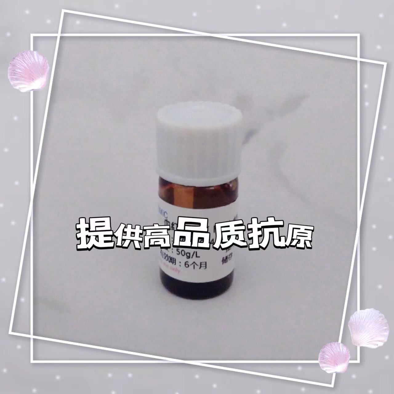 载脂蛋白B(ApoB)抗血清