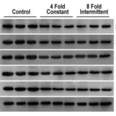 基因组学之单细胞测序