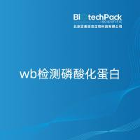 wb检测磷酸化蛋白-百泰派克生物科技
