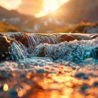 水质富营养化指标检测