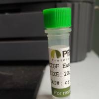 pAdtrack-U6-spCas9-EGFP