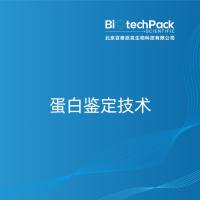 蛋白鉴定技术