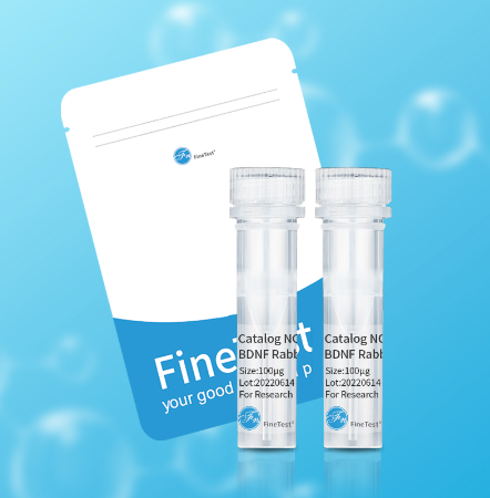 新手必备 | 如何选择合适的流式抗体？