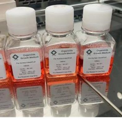 OrganoPro™肝癌类器官培养基