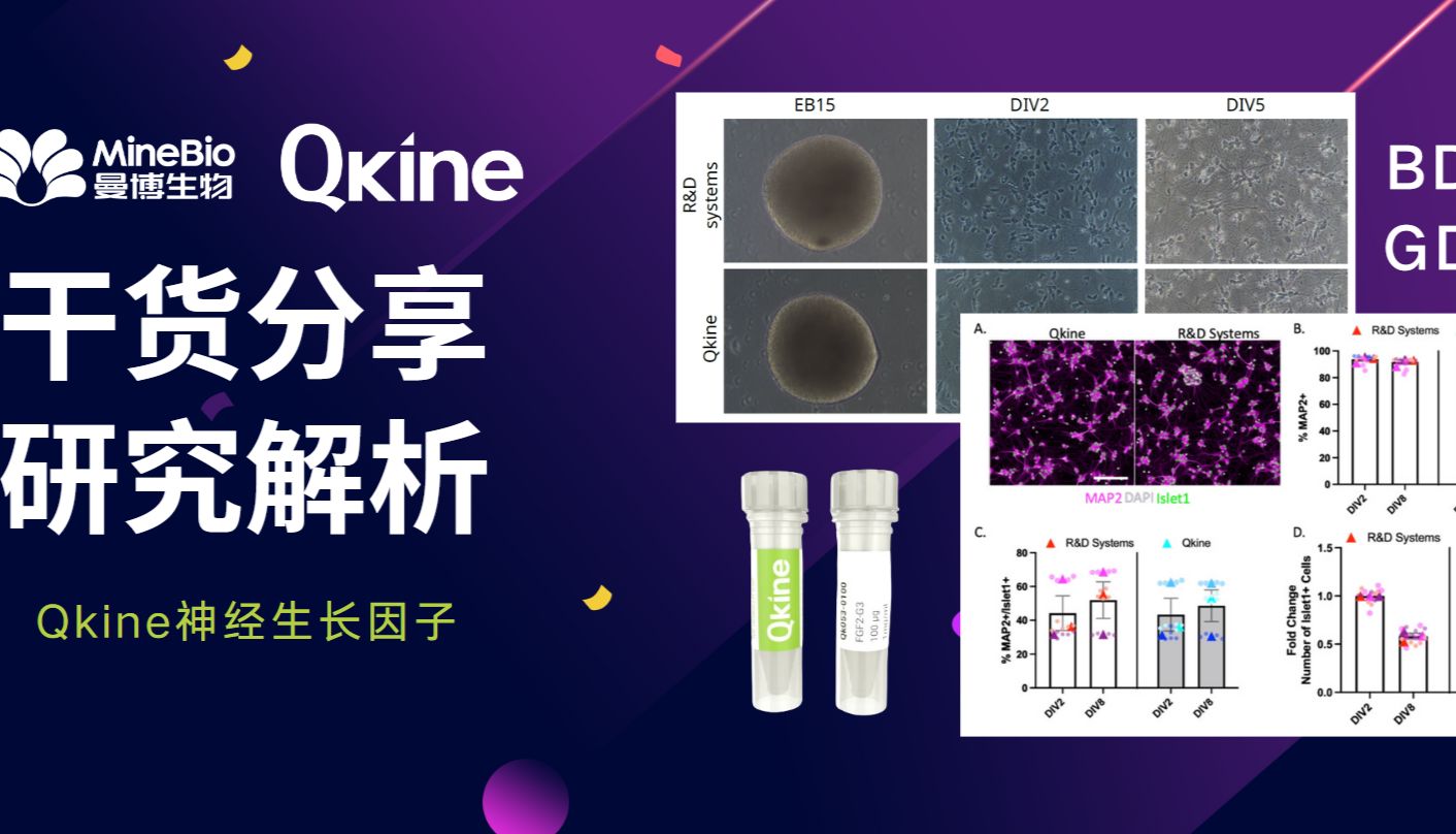 Qkine神经生长因子：增强iPSC衍生的神经元培养_细胞因子_曼博生物