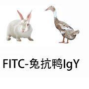 FITC-Rabbit Anti- Duck IgY(IgG)(H+L)