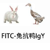 FITC-Rabbit Anti- Duck IgY(IgG)(H+L)