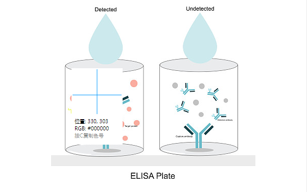 ELISA实验检测的制备方法