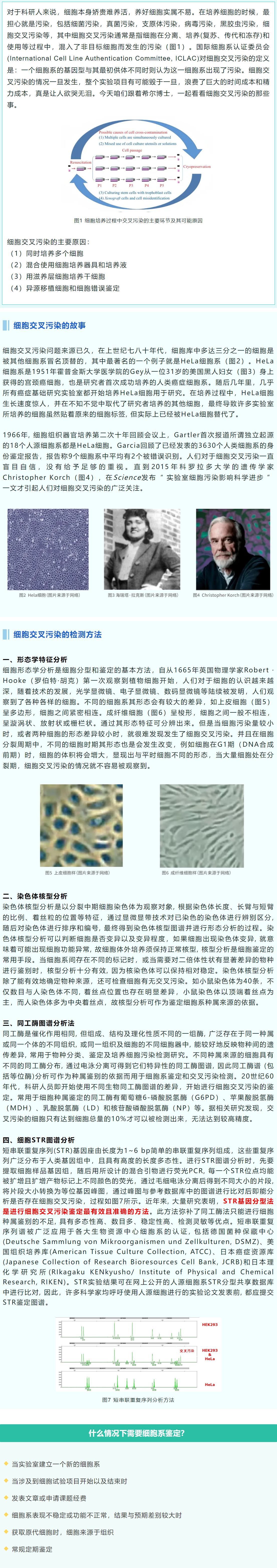 注意！细胞系的交叉污染可能是你实验的最猛杀手